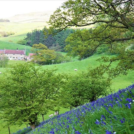 Bluebells Cottage Chop Gate Eksteriør bilde
