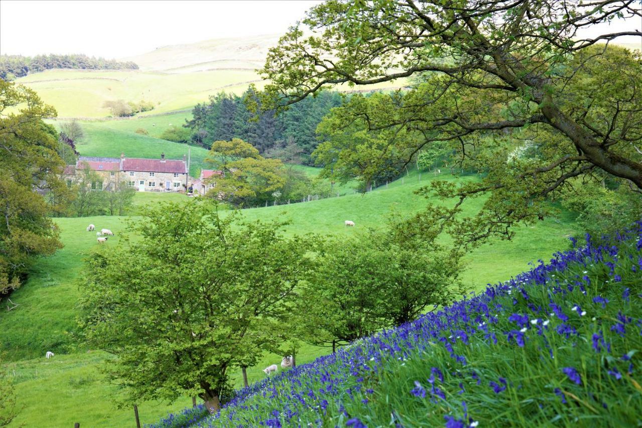Bluebells Cottage Chop Gate Eksteriør bilde